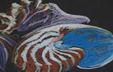 Pam Beagle-Daresta's work